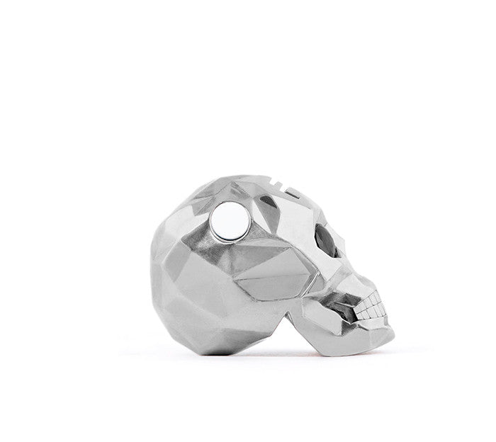 Small Silver Skull Fateced Necklace